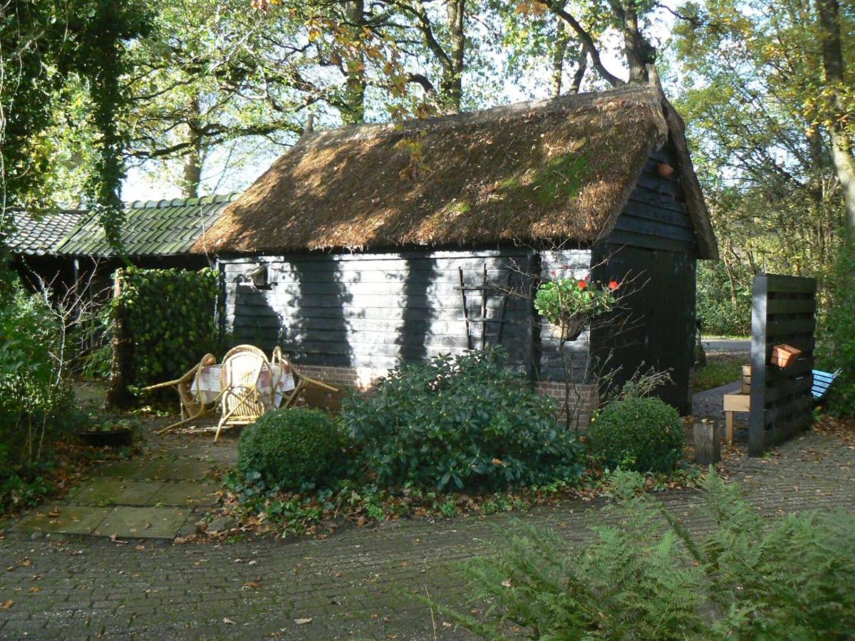Hoeve Den Anholt Villa Ruinen Dış mekan fotoğraf