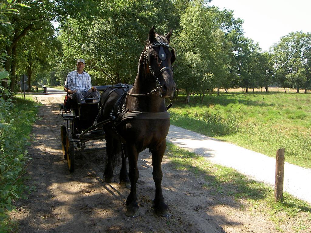 Hoeve Den Anholt Villa Ruinen Dış mekan fotoğraf
