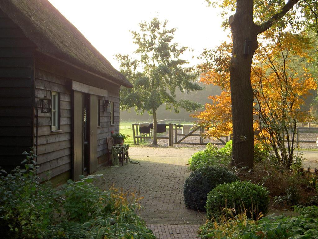 Hoeve Den Anholt Villa Ruinen Dış mekan fotoğraf