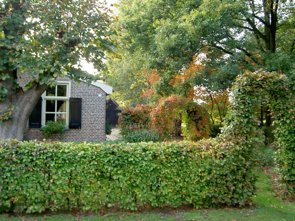 Hoeve Den Anholt Villa Ruinen Dış mekan fotoğraf