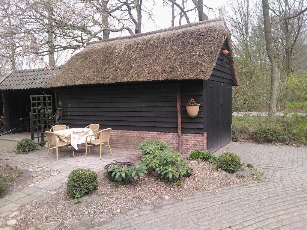 Hoeve Den Anholt Villa Ruinen Oda fotoğraf