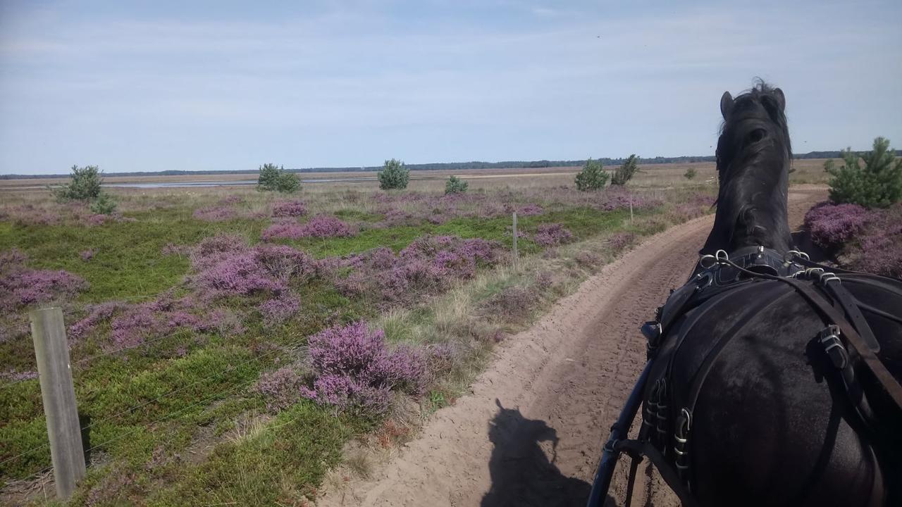 Hoeve Den Anholt Villa Ruinen Dış mekan fotoğraf
