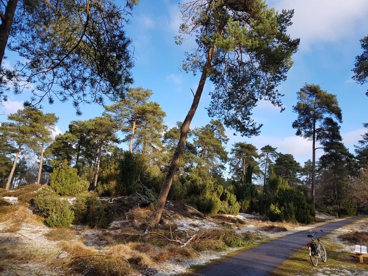 Hoeve Den Anholt Villa Ruinen Dış mekan fotoğraf
