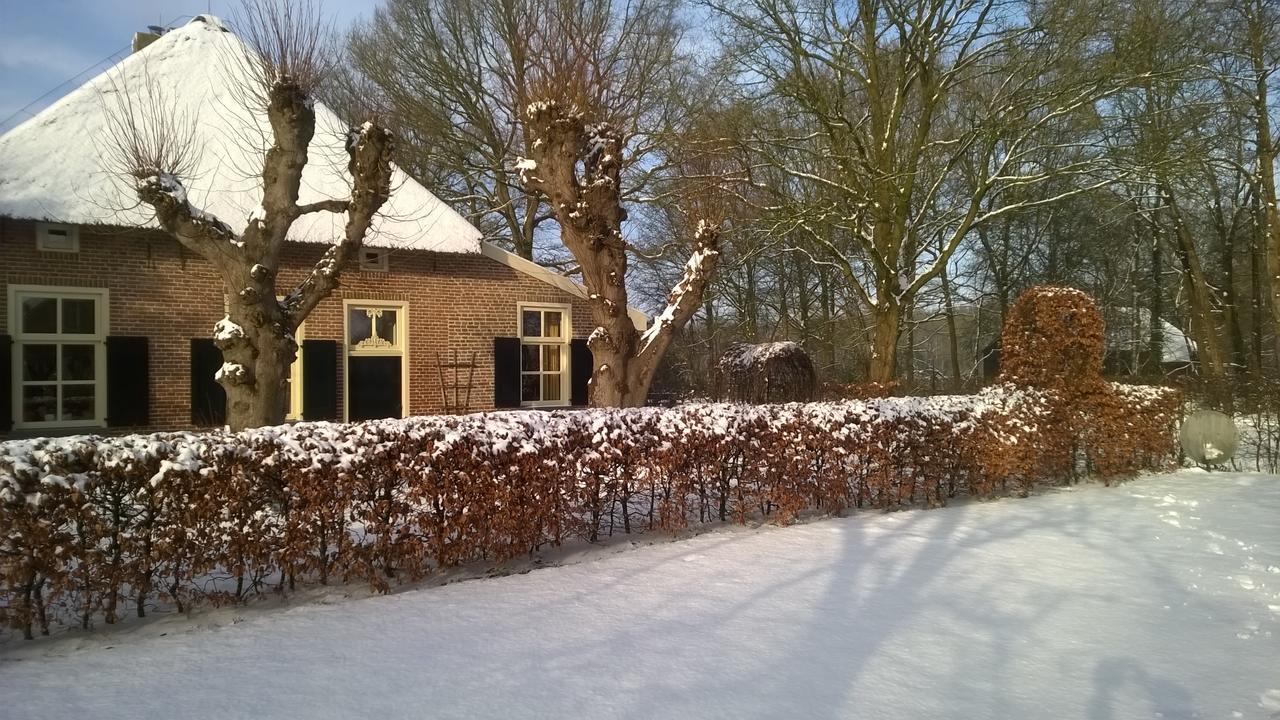 Hoeve Den Anholt Villa Ruinen Dış mekan fotoğraf