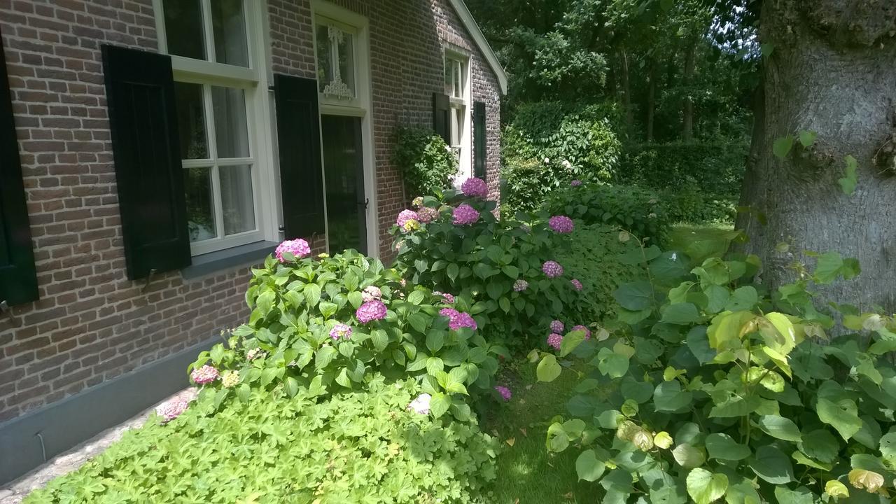 Hoeve Den Anholt Villa Ruinen Dış mekan fotoğraf