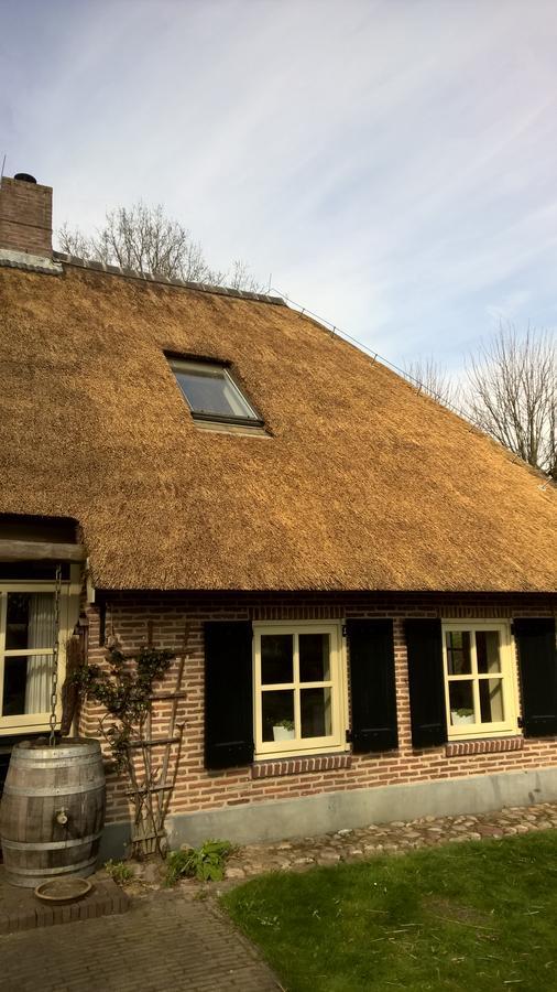Hoeve Den Anholt Villa Ruinen Dış mekan fotoğraf