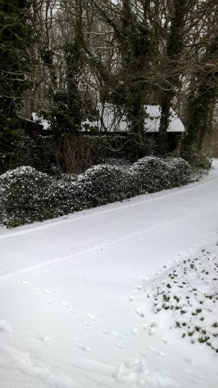 Hoeve Den Anholt Villa Ruinen Dış mekan fotoğraf
