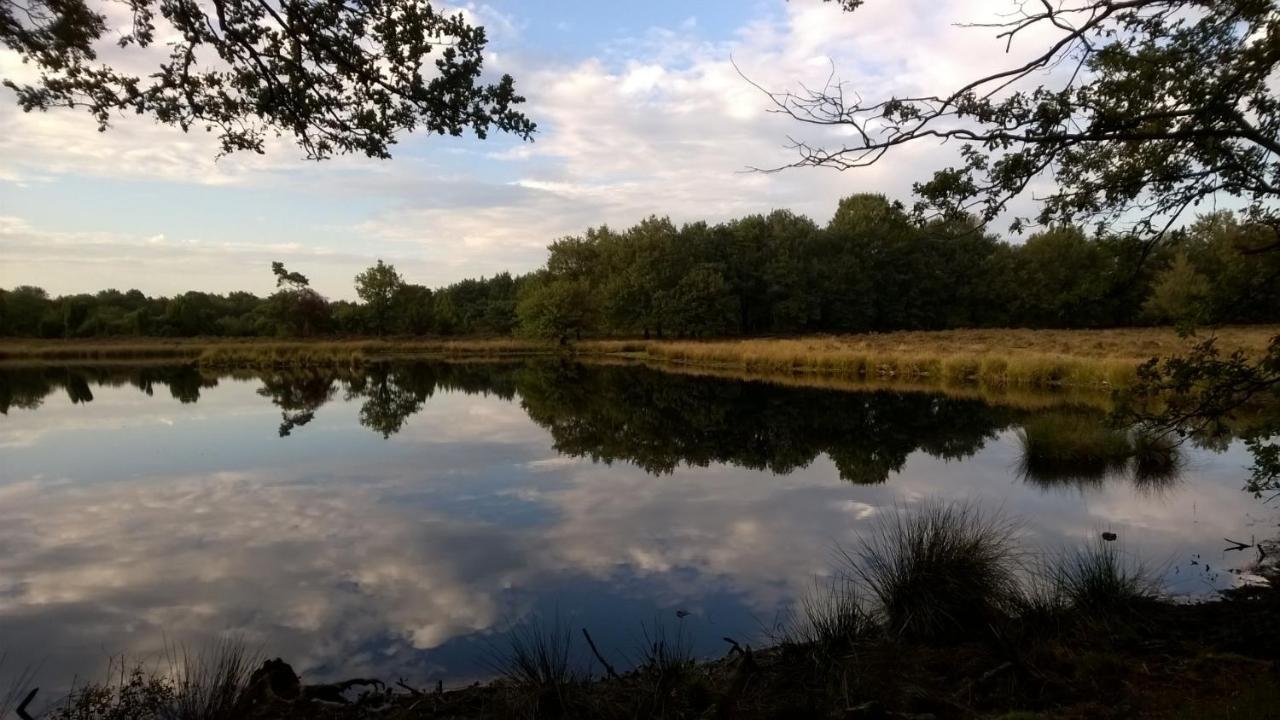 Hoeve Den Anholt Villa Ruinen Dış mekan fotoğraf