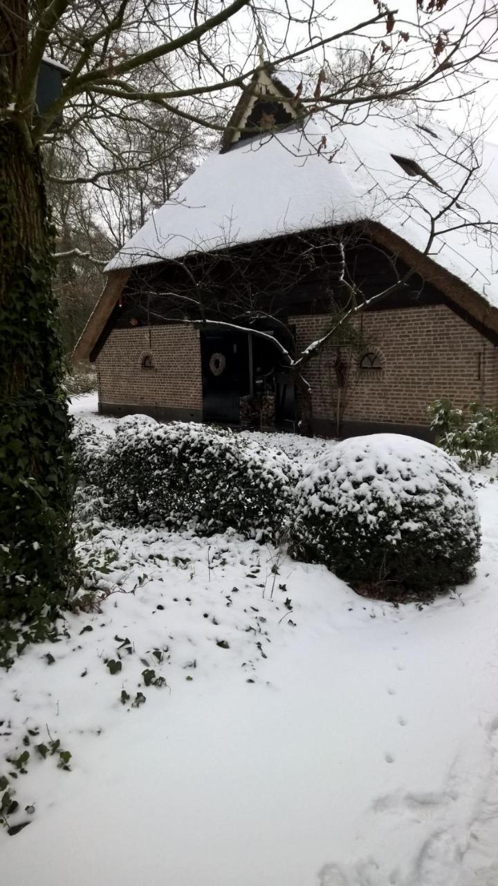 Hoeve Den Anholt Villa Ruinen Dış mekan fotoğraf