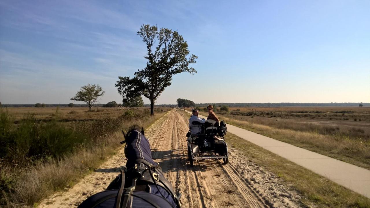 Hoeve Den Anholt Villa Ruinen Dış mekan fotoğraf