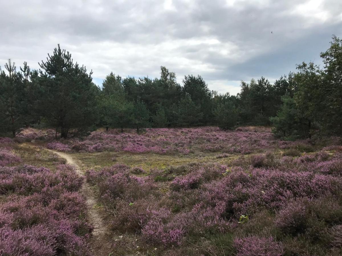 Hoeve Den Anholt Villa Ruinen Dış mekan fotoğraf
