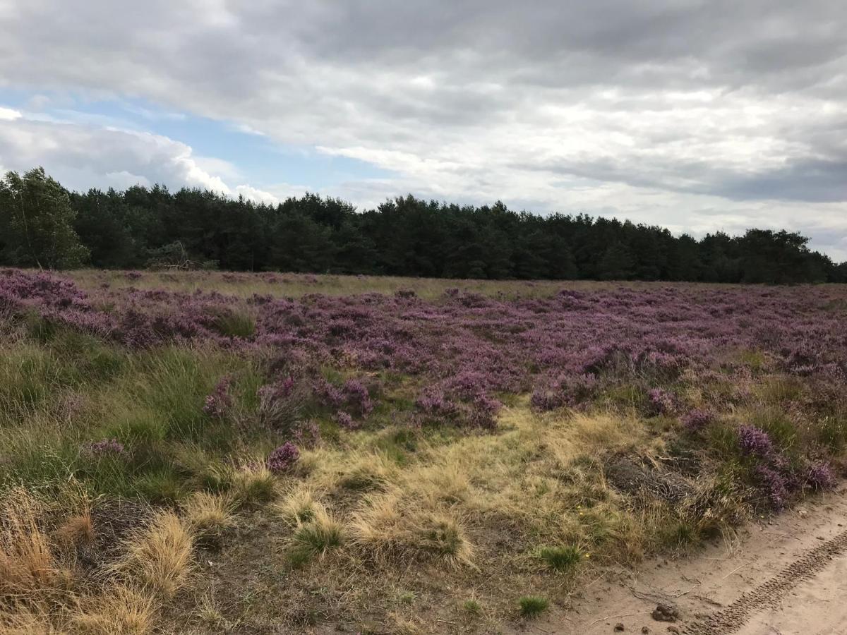Hoeve Den Anholt Villa Ruinen Dış mekan fotoğraf
