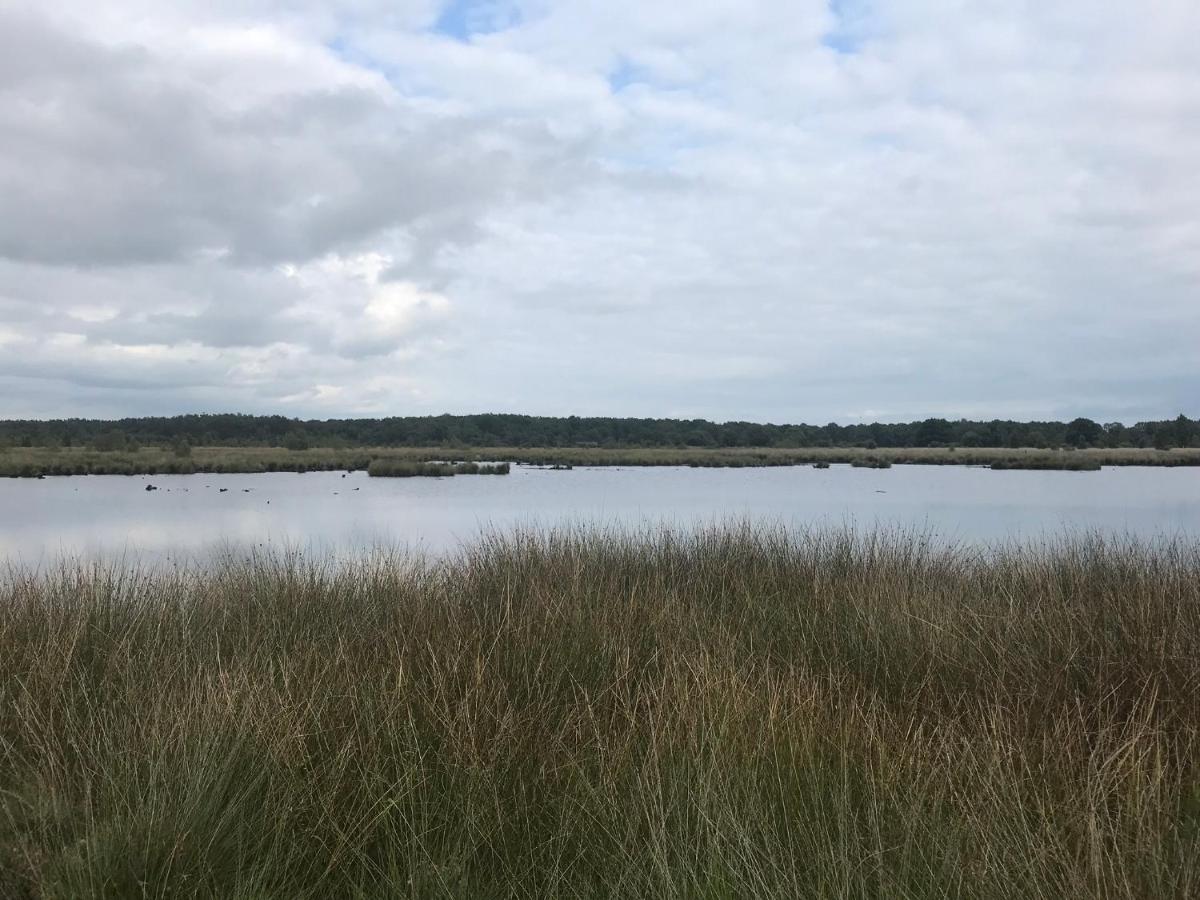 Hoeve Den Anholt Villa Ruinen Dış mekan fotoğraf