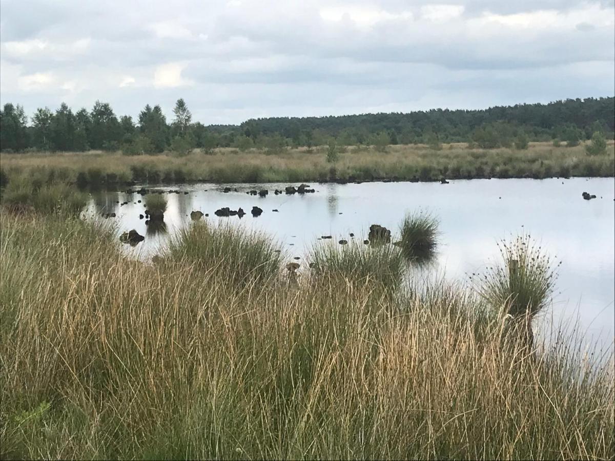 Hoeve Den Anholt Villa Ruinen Dış mekan fotoğraf