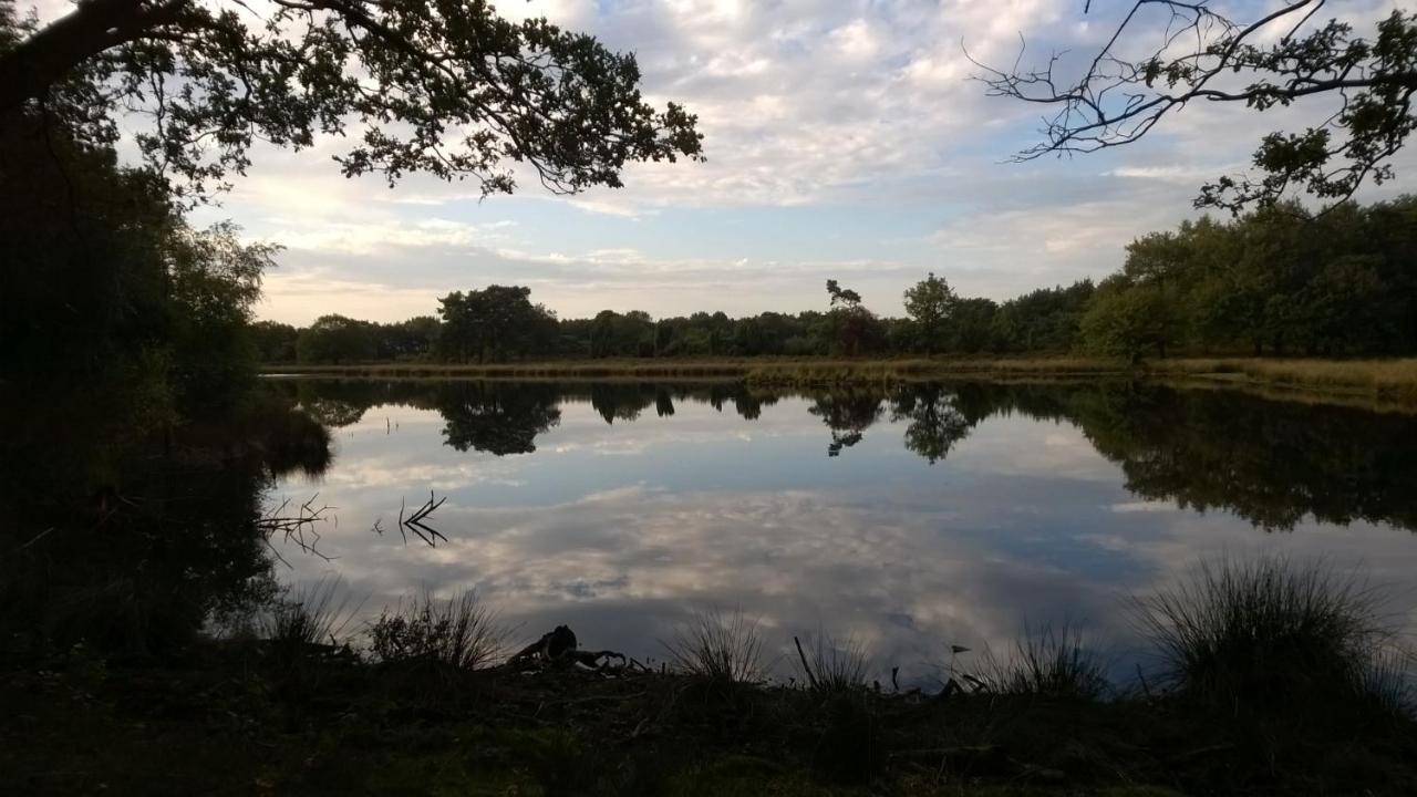 Hoeve Den Anholt Villa Ruinen Dış mekan fotoğraf